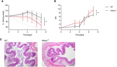 Gut Commensal-Induced IκBζ Expression in Dendritic Cells Influences the Th17 Response